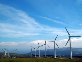 平台经济与蛮牛健康，共筑未来新生态